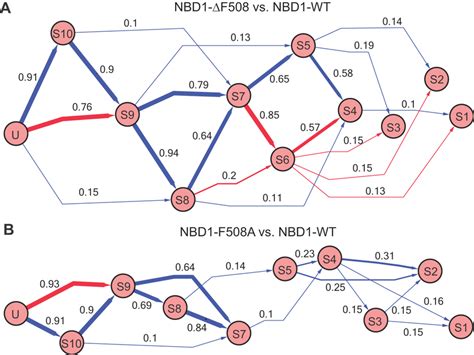 Comparison Of The Folding Pathways Of Wild Type NBD1 And Its