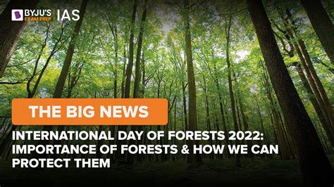 International Day Of Forests 2022 Importance Of Forests And How We Can