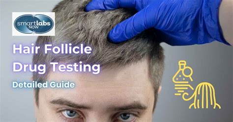 How Long Does A Hair Follicle Drug Test Detect | Detroit Chinatown