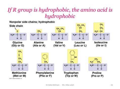 PPT Chapter 5 The Structure And Function Of Large Biological