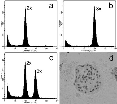 Ploidy Level Determination Of Offspring Flow Cytometric Analysis Of