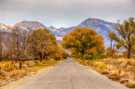 Owens Valley Soft and Lovely – California Fall Color