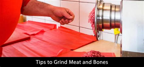 Top Five Best Meat Grinder For Bones In Which One Is Yours