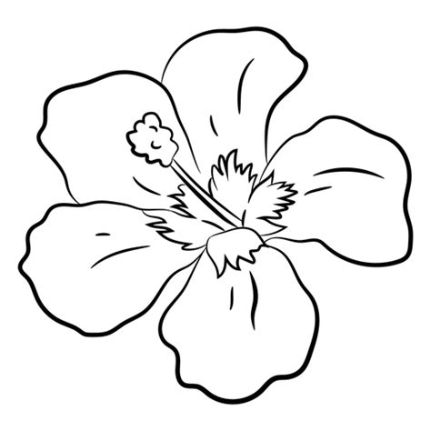 Dise Os Png De Tropical Flowers Para Camisetas Merch