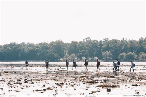 5 Things You Didn't Know About Singapore’s Only Landfill & Pulau Semakau