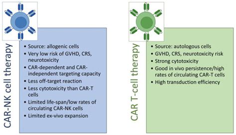 Cancers Free Full Text Car Nk As A Rapidly Developed And Efficient