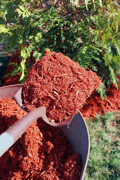 Mulch Wheelbarrow Stock Photos Pictures And Royalty Free Images Istock