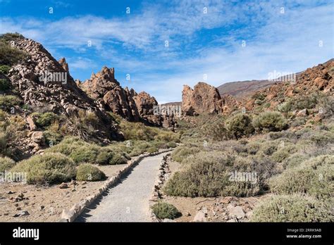 Tenerife Canary Island National Park Pico Del Teide Marked Hiking