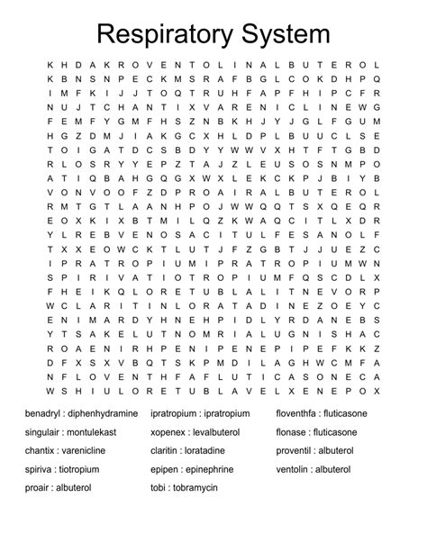 Respiratory System Word Search Wordmint