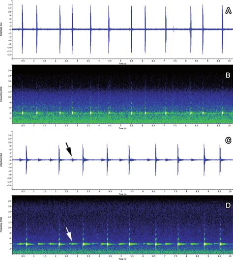 Vocalisation Of Anomaloglossus Praderioi A Oscillogram B