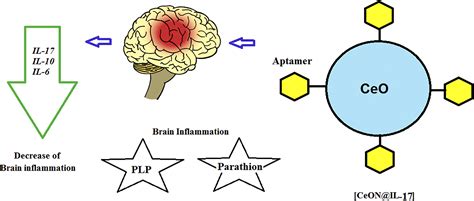 Gelatin Hydrogel Containing Cerium Oxide Nanoparticles Covered By