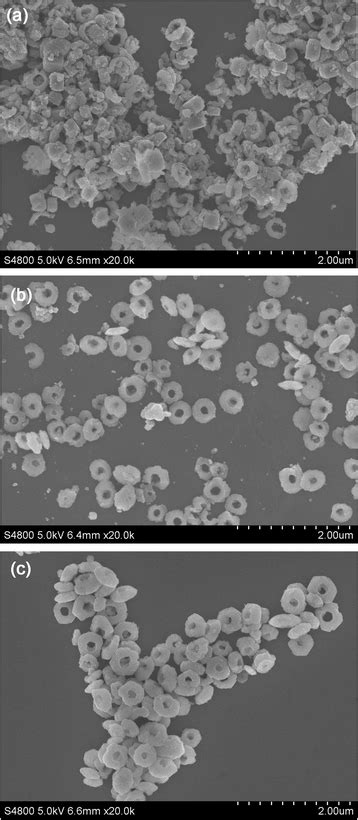 Sem Images Of Tio B Nanorings Formed At Different Hydrothermal Time