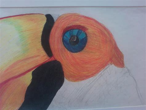 Toucan Eye by CookieznMilk12 on DeviantArt