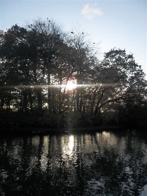 Serendipitous Moments: Wanstead Flats