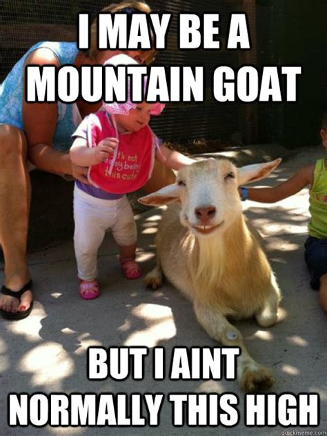 Money Memes i may be a mountain goat | Picsmine