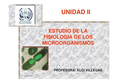 PDF Microbiología enzimas PDFSLIDE NET