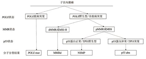 女性肿瘤精准诊疗 ‖ 子宫内膜癌分子分型的来龙去脉 知乎