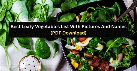 Leafy Vegetables Names In English With Pictures Vegetable Name