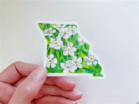 Missouri Hawthorn, state flower watercolor sticker – Elizabeth Alice Studio