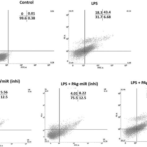 HK2 Cell Inhibition A LPS Induced Cell Viability Of HK2 Cells By