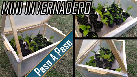 C Mo Hacer Mini Invernadero Casero Para Nuestros Esquejes Y Semillero