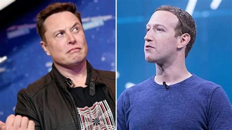 Elon Musk Vs Mark Zuckerberg How Fight Talk Began And Who Would Win