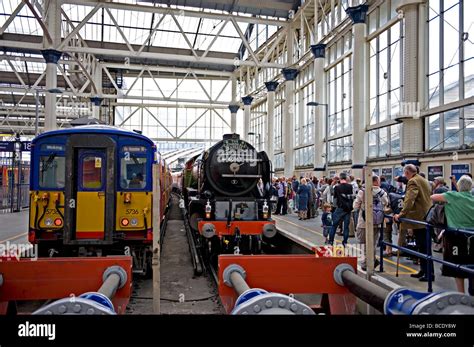 class  emu  res stock photography  images alamy