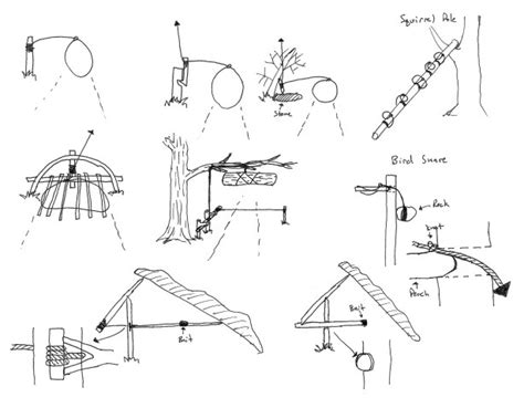 Harper Creek Outdoor Simple Traps And Snares For Survival Situations