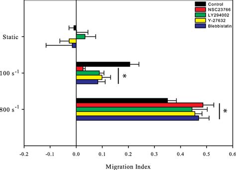 1 Effect Of Pharmacological Inhibitors On The Orientation Of