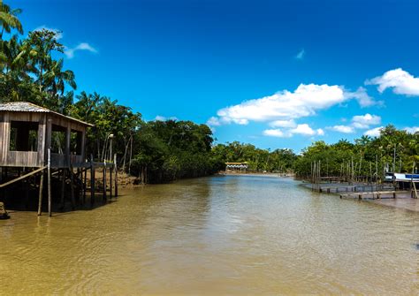 Ilha de Marajó, Curiosidades, Como Chegar, Melhor Época [Guia de viagem]
