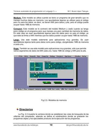 Tecnicas Avanzadas De Programacion En Lenguaje C Manual PDF