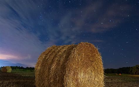 La alpaca Enrique Marugán FOTOGRAFÍA NOCTURNA