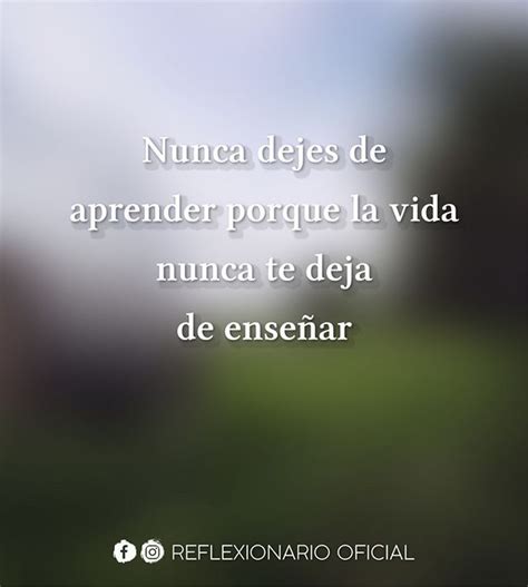 Nunca Dejes De Aprender Por La Vida Nunca Te Deja De Ense Ar Frases