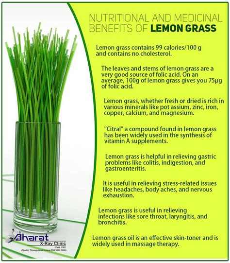 Nutritional And Medicinal Benefits Of Lemon Grass Lemongrass