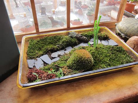 23 Miniature Moss Garden Ideas You Cannot Miss Sharonsable