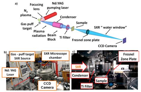 Applied Sciences Special Issue Recent Advances In Optical Bioimaging