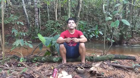 Castanha do Brasil na Resex do Rio Ouro Preto Guajará Mirim Rondônia