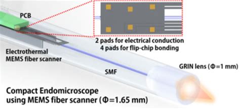 Applied Sciences Special Issue Recent Advances In Optical Bioimaging