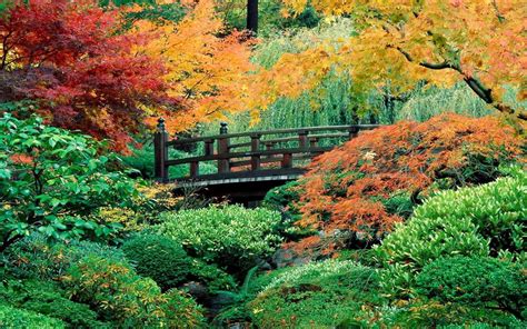 Japanese Garden Desktop Wallpaper - WallpaperSafari