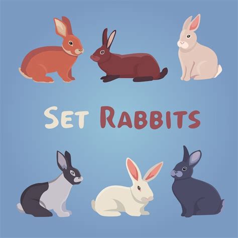 Premium Vector Vector Illustration Of Cartoon Rabbits