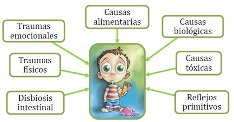 Trastorno De D Ficit De Atenci N E Hiperactividad Causas Del Tdah