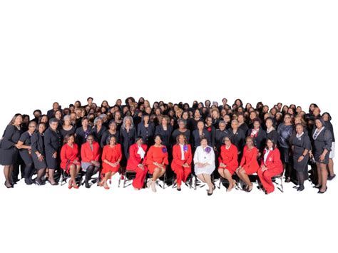 Delta Sigma Theta Sorority Inc., Marietta - Roswell Alumnae Chapter