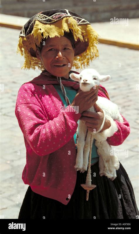 Peruvian Woman With Baby Llama In Plaza De Armas Cusco Peru Stock