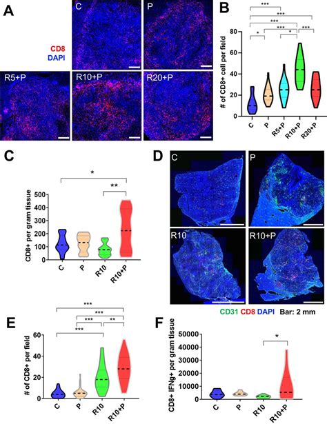 Regorafenib Combined With Pd Blockade Increases Cd T Cell