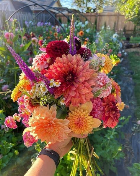 Pin By Asmi On Fundos In Flower Farm Beautiful Bouquet Of