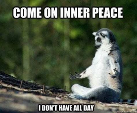 Meme Inner Peace Quotes Funny Shortquotescc