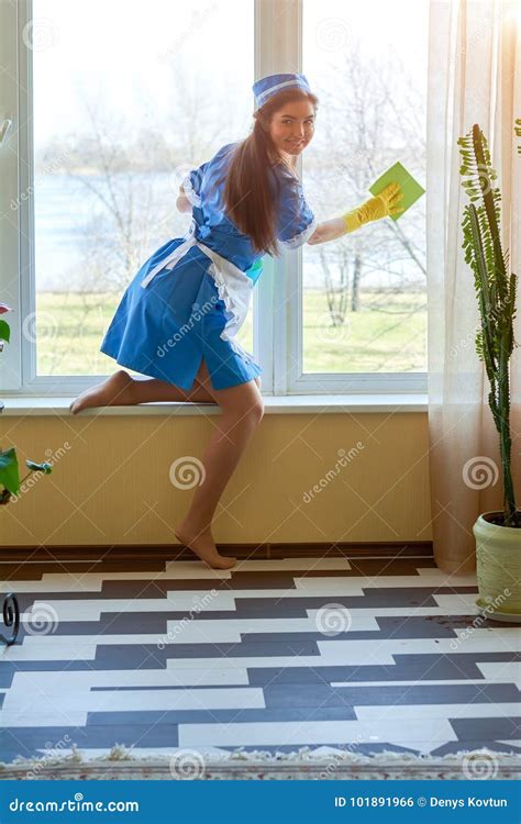 Pretty Housemaid Smiling Stock Photo Image Of Housemaid 101891966