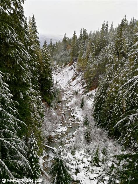 Whistler Zipline - Adventurous Way To Explore The Ski Town - Inditales