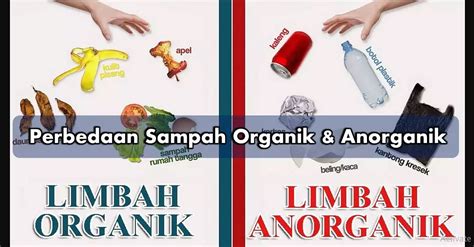 Arti Sampah Organik Dan Anorganik Jenis Dampak Dan Pengelolaanya