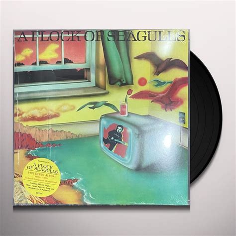 A Flock Of Seagulls Vinyl Record